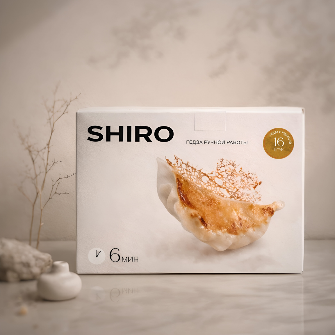 Shiro Гедза с курицей