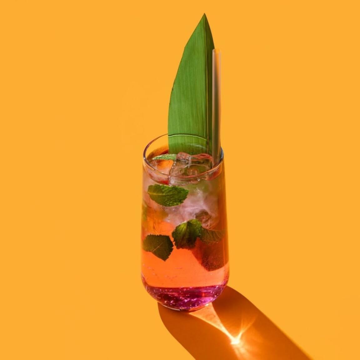 Лимонад Малина-Мята