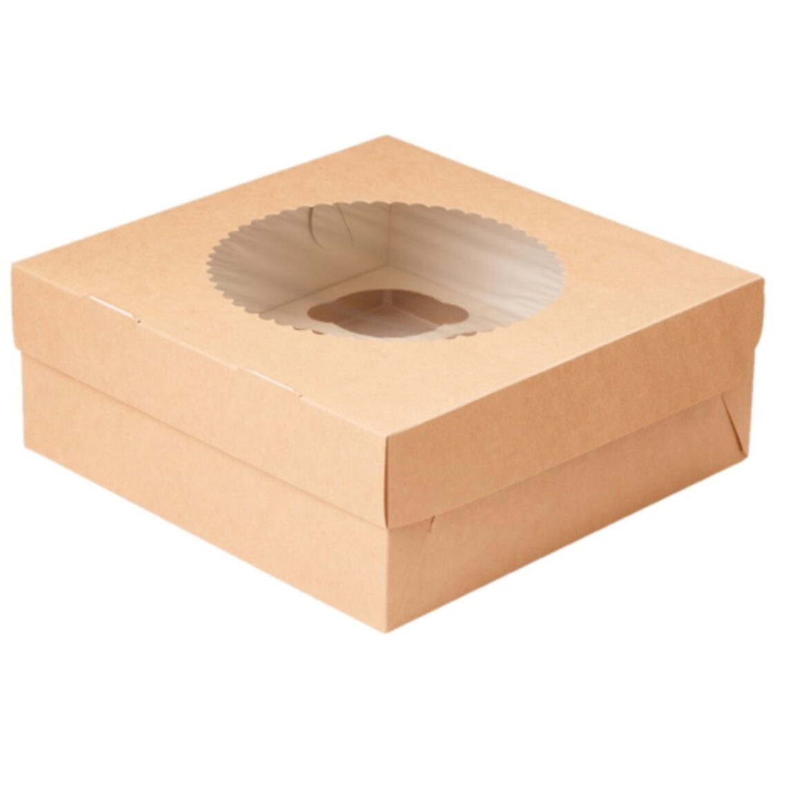 Упаковка OSQ MUF 9 250x250x100 100шт